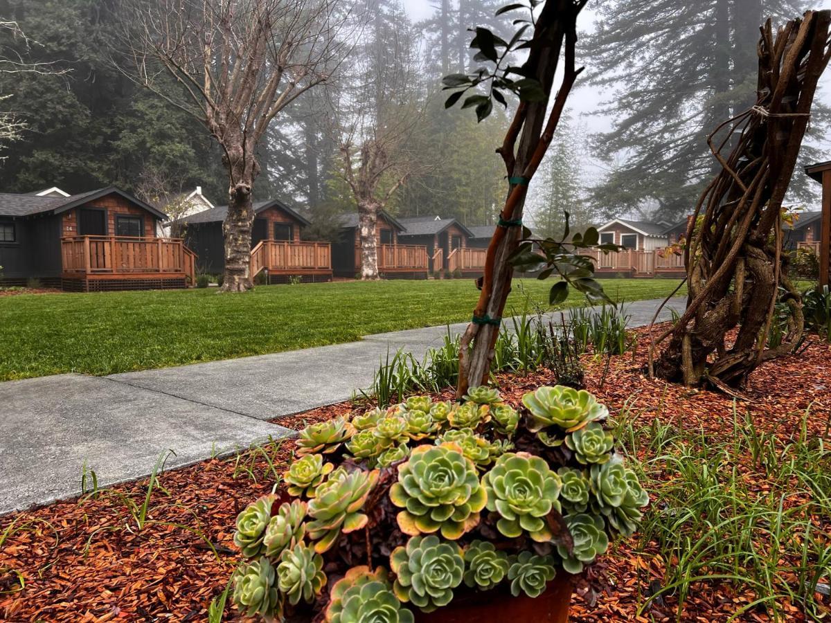 Hotel Dawn Ranch Guerneville Zewnętrze zdjęcie