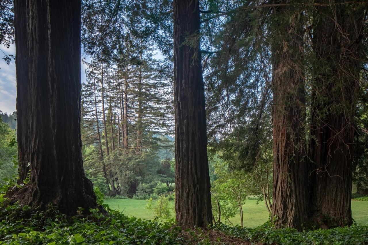 Hotel Dawn Ranch Guerneville Zewnętrze zdjęcie